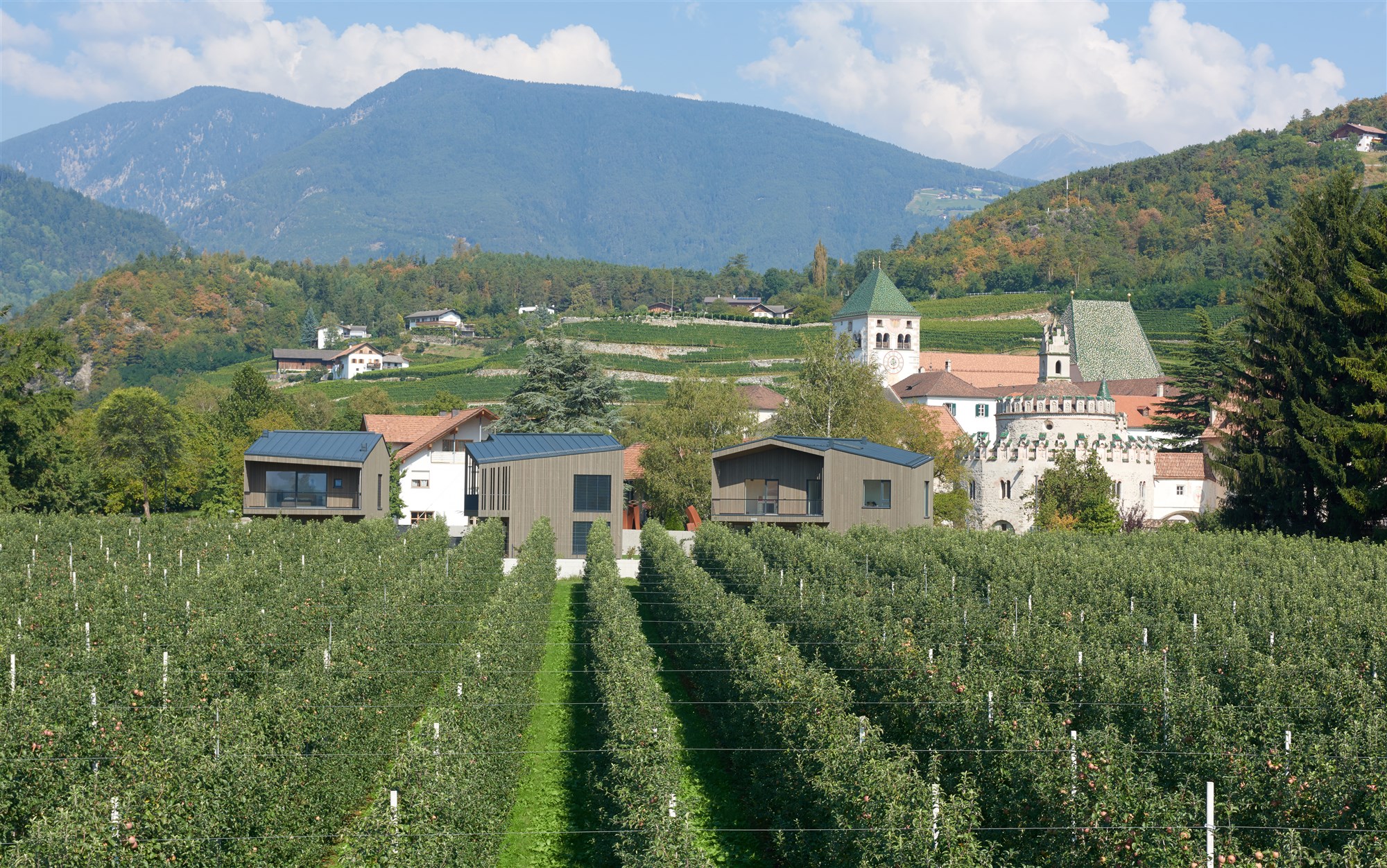 传统与现代共融的意大利木质住宅-30