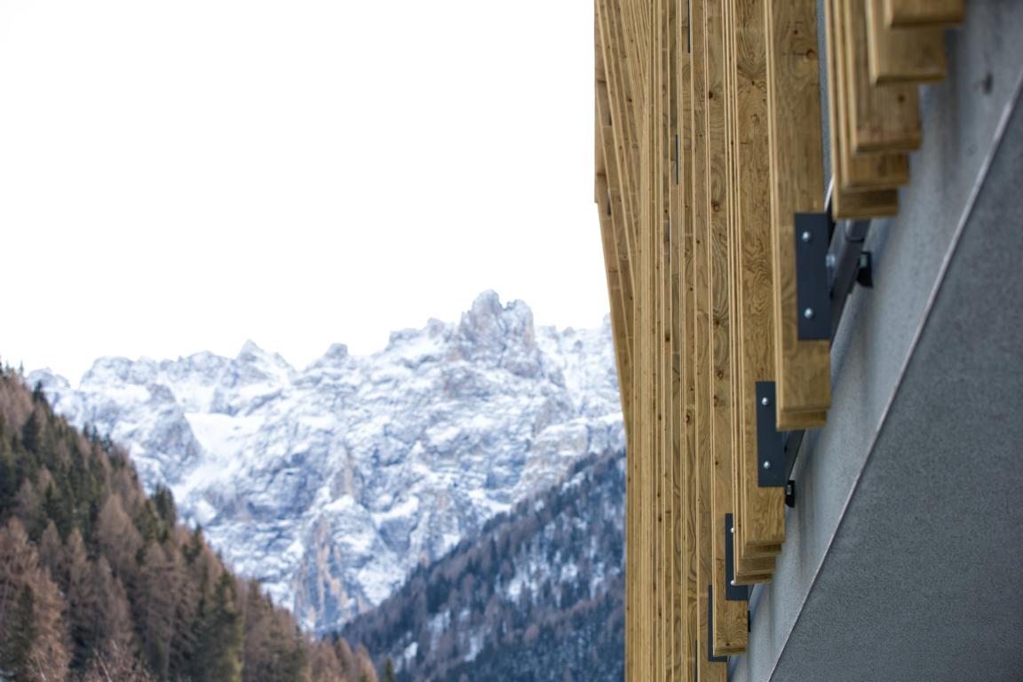 意大利 Selva di Val Gardena 山区酒店 Eden Selva 创新设计-3