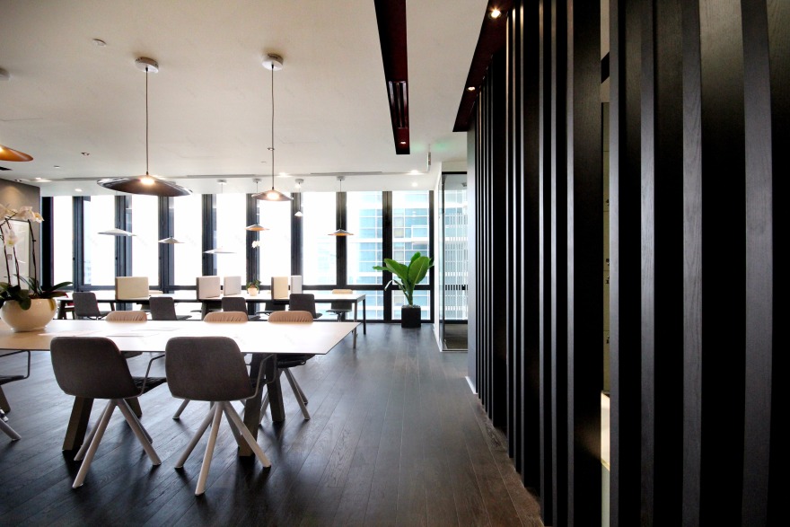 越南最大城市中心的灵动办公空间-17