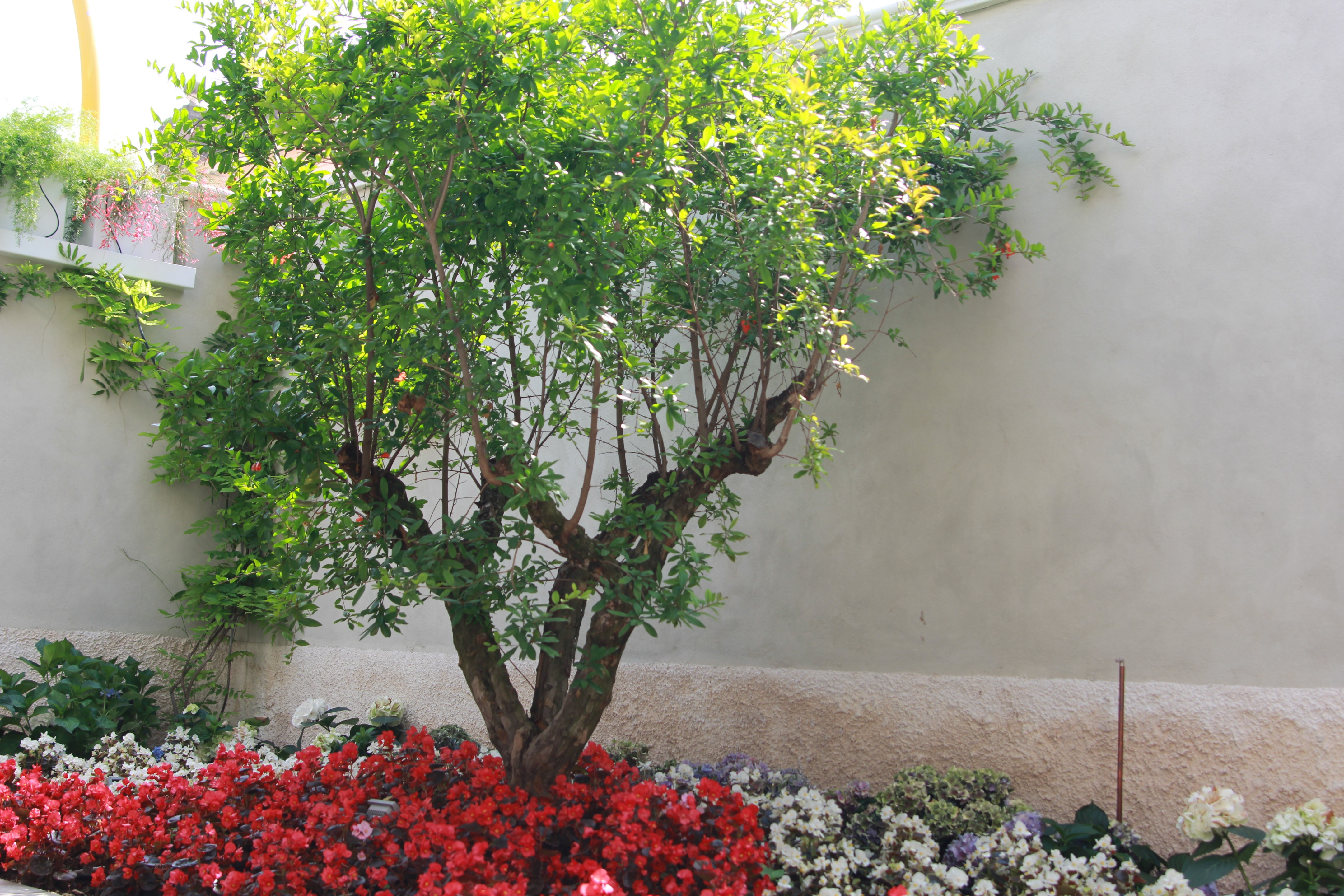 绿意盎然的城市花园——"Verde Matematico"餐厅设计-7