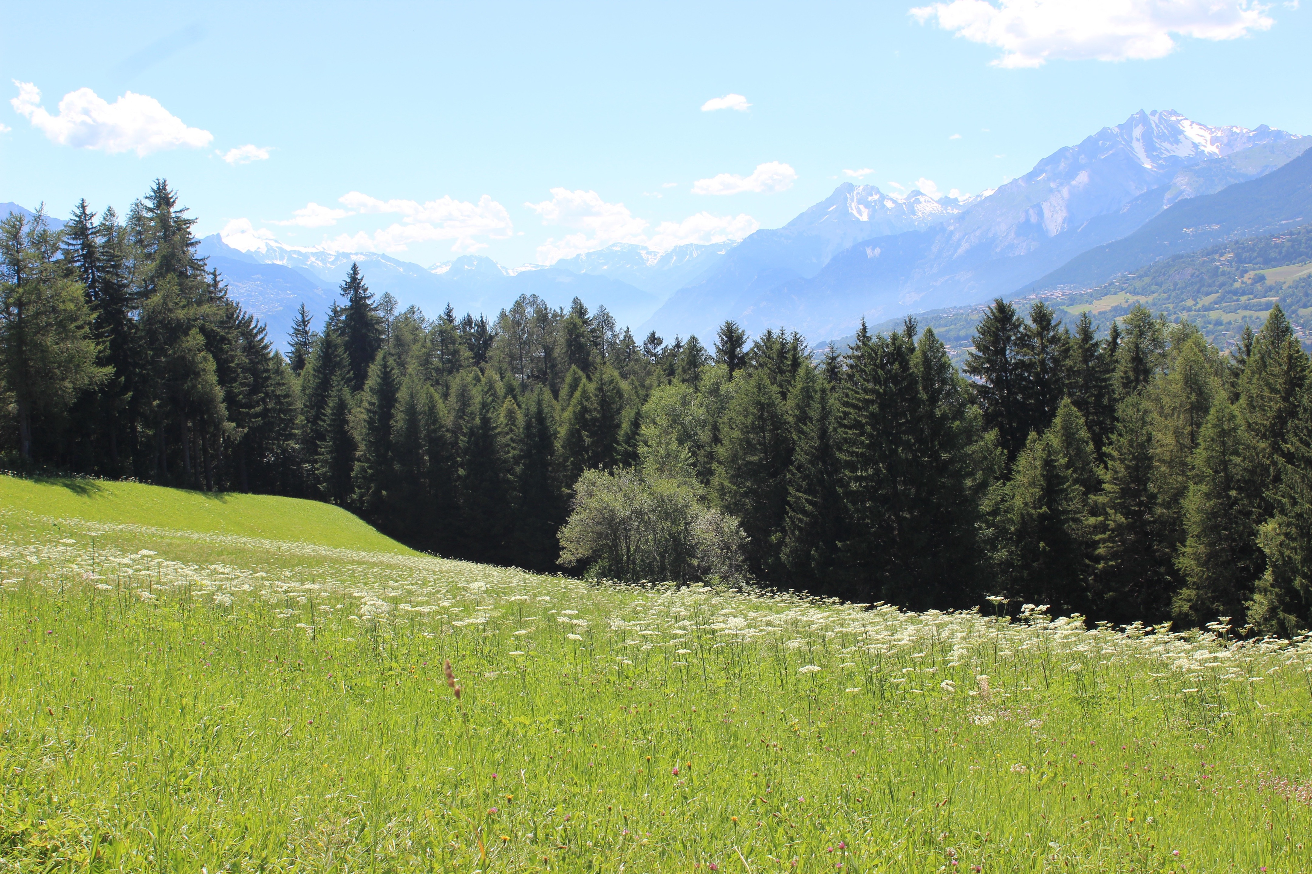 瑞士 Crans Montana 山间别墅-1