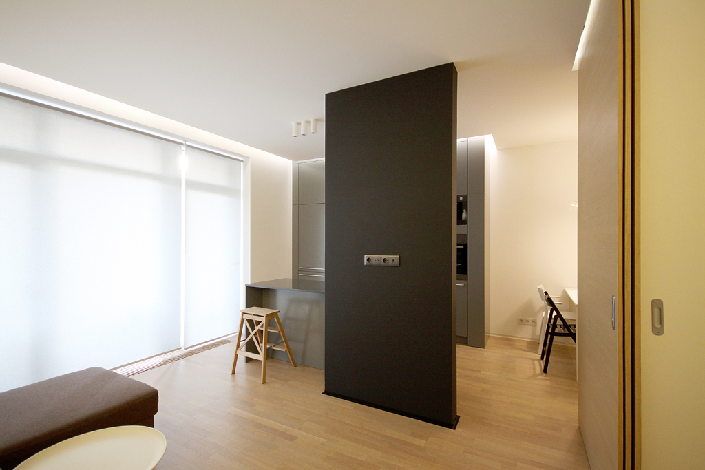 乌克兰基辅 44 平米精致小户型设计-10