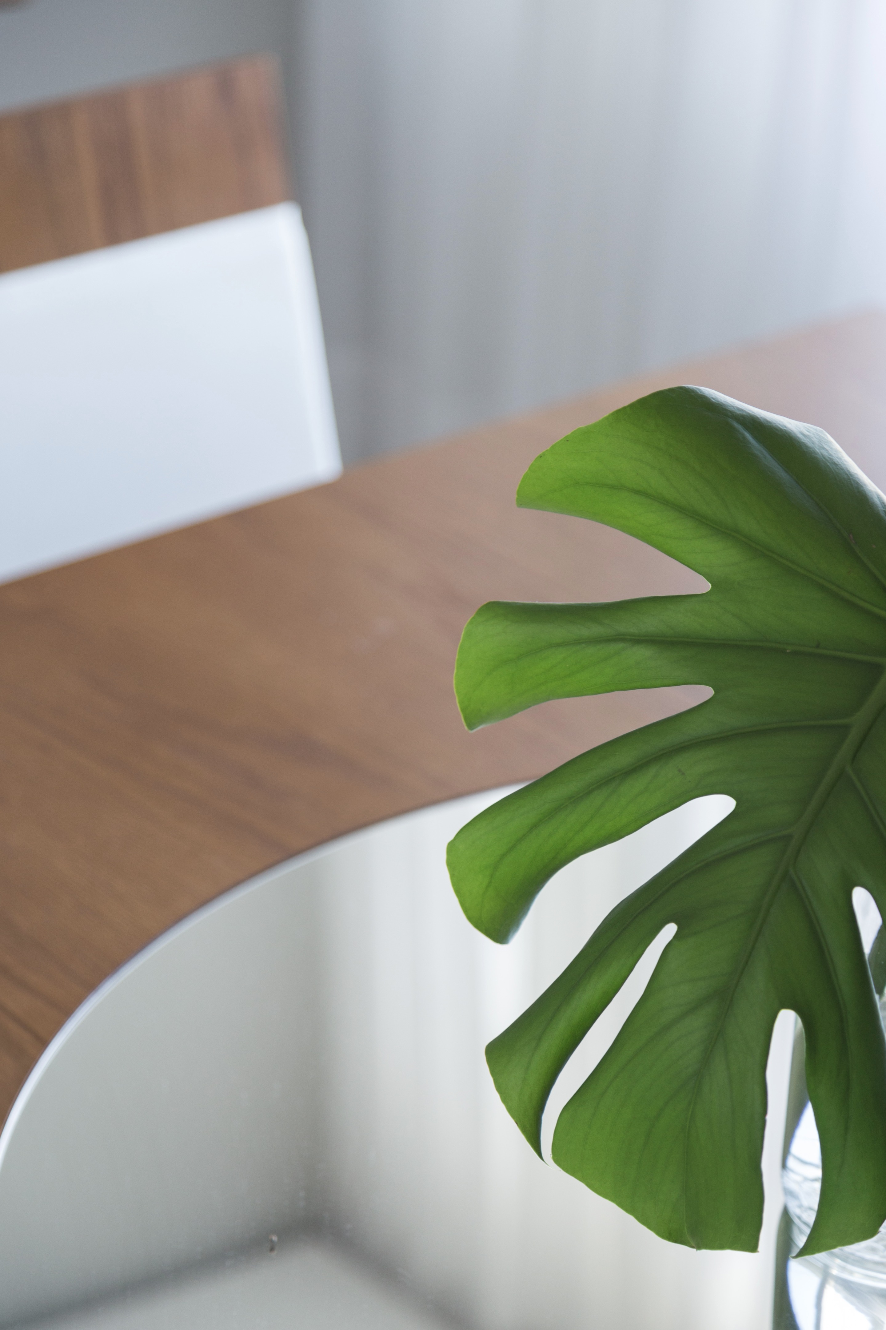 巴西现代简约别墅，自然与永恒的融合-31