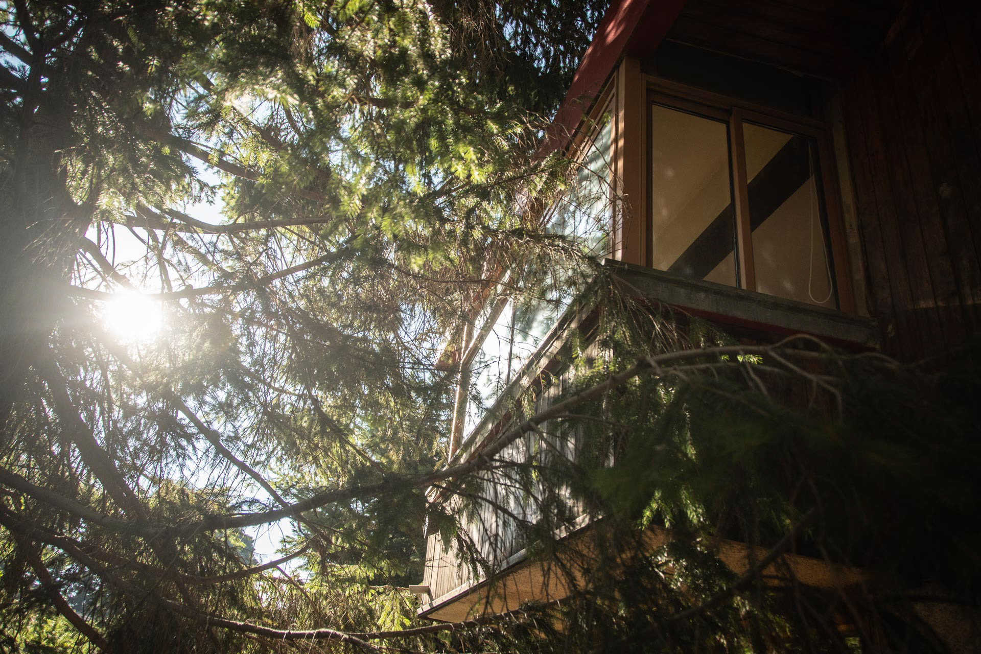 Luxuroo Rentals 摄影展示不同租赁住房地点的美景-2