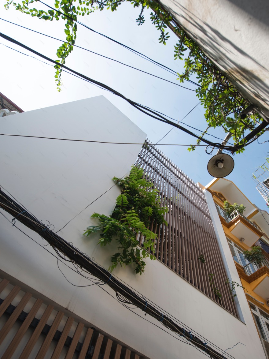 越南情感之家-1