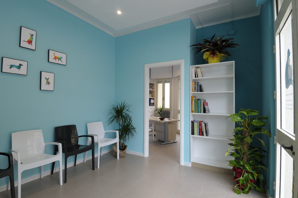 90 平米兽医诊所的舒适空间设计-5