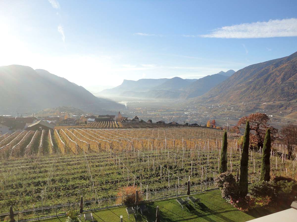 奥地利 Hotel Patrizia 酒店室内设计-47