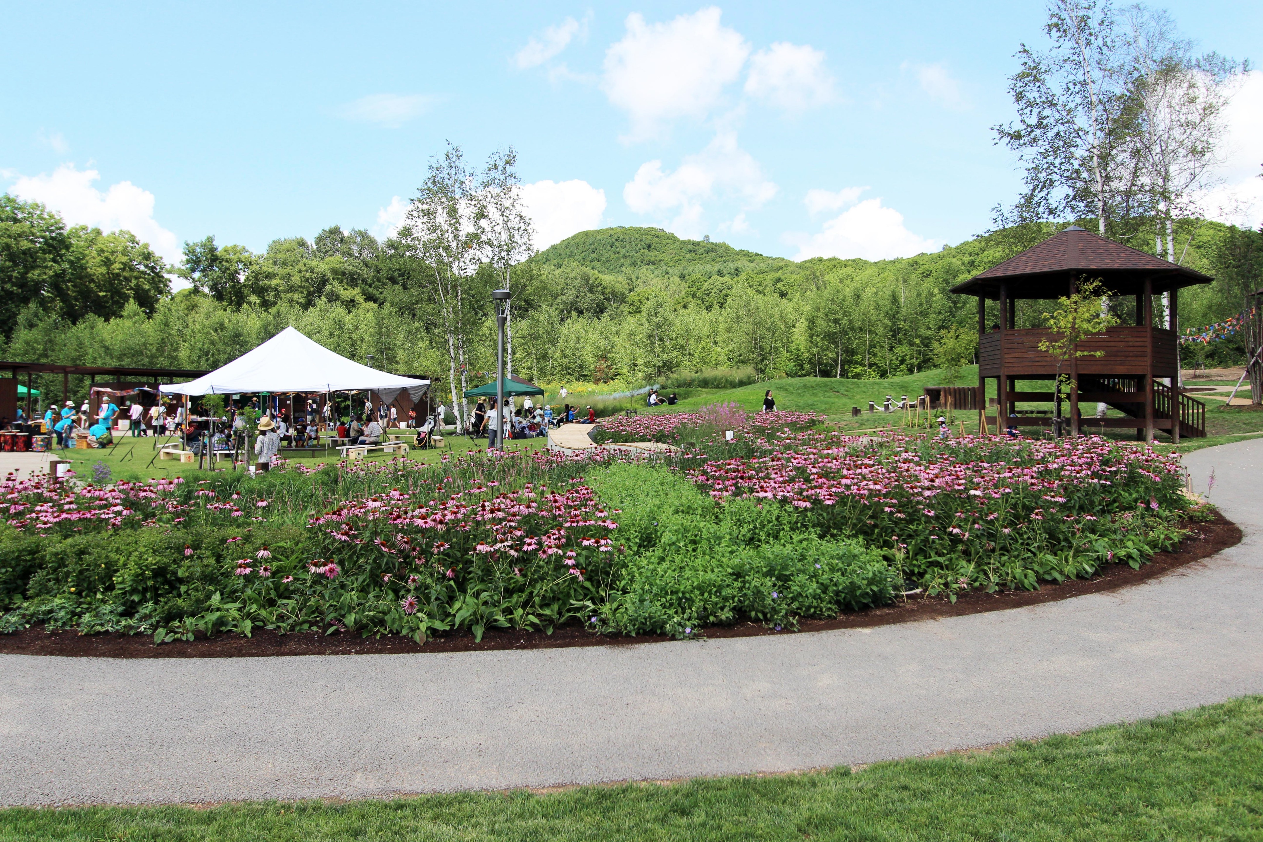 2015 年完成的库鲁米娜公共花园-32