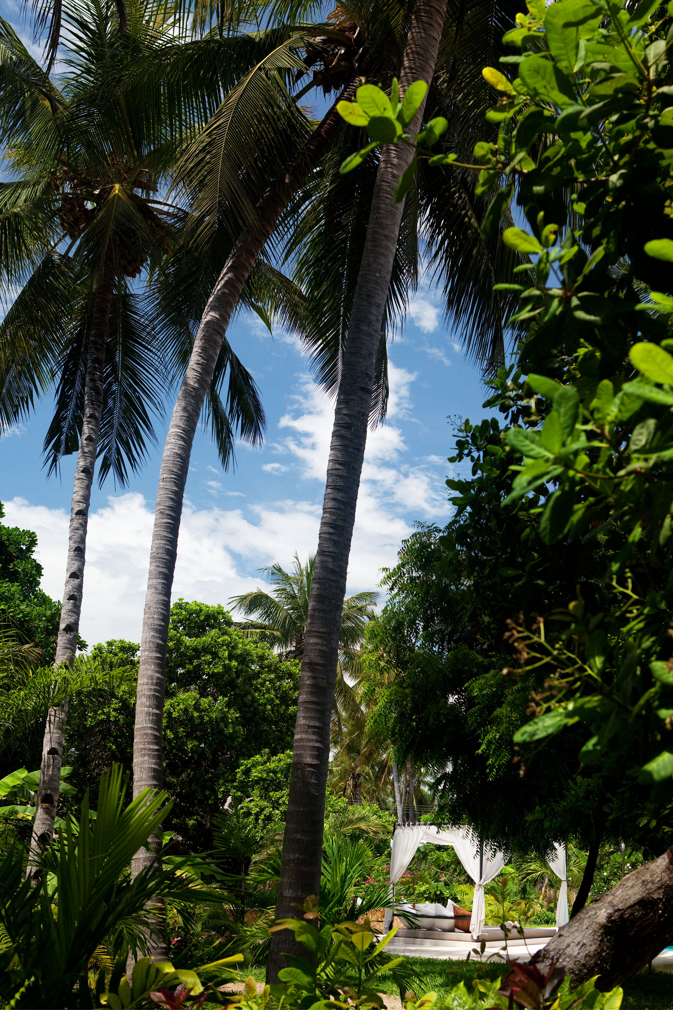 融合本土元素的梦幻家园-7