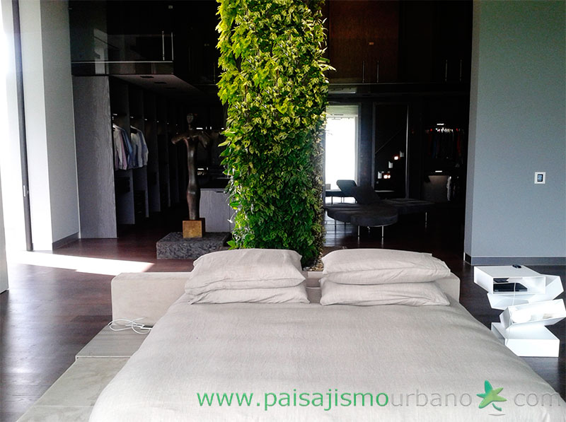 墨西哥绿意盎然的家庭住宅-17