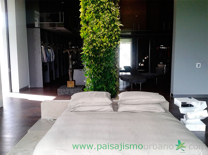 墨西哥绿意盎然的家庭住宅-17