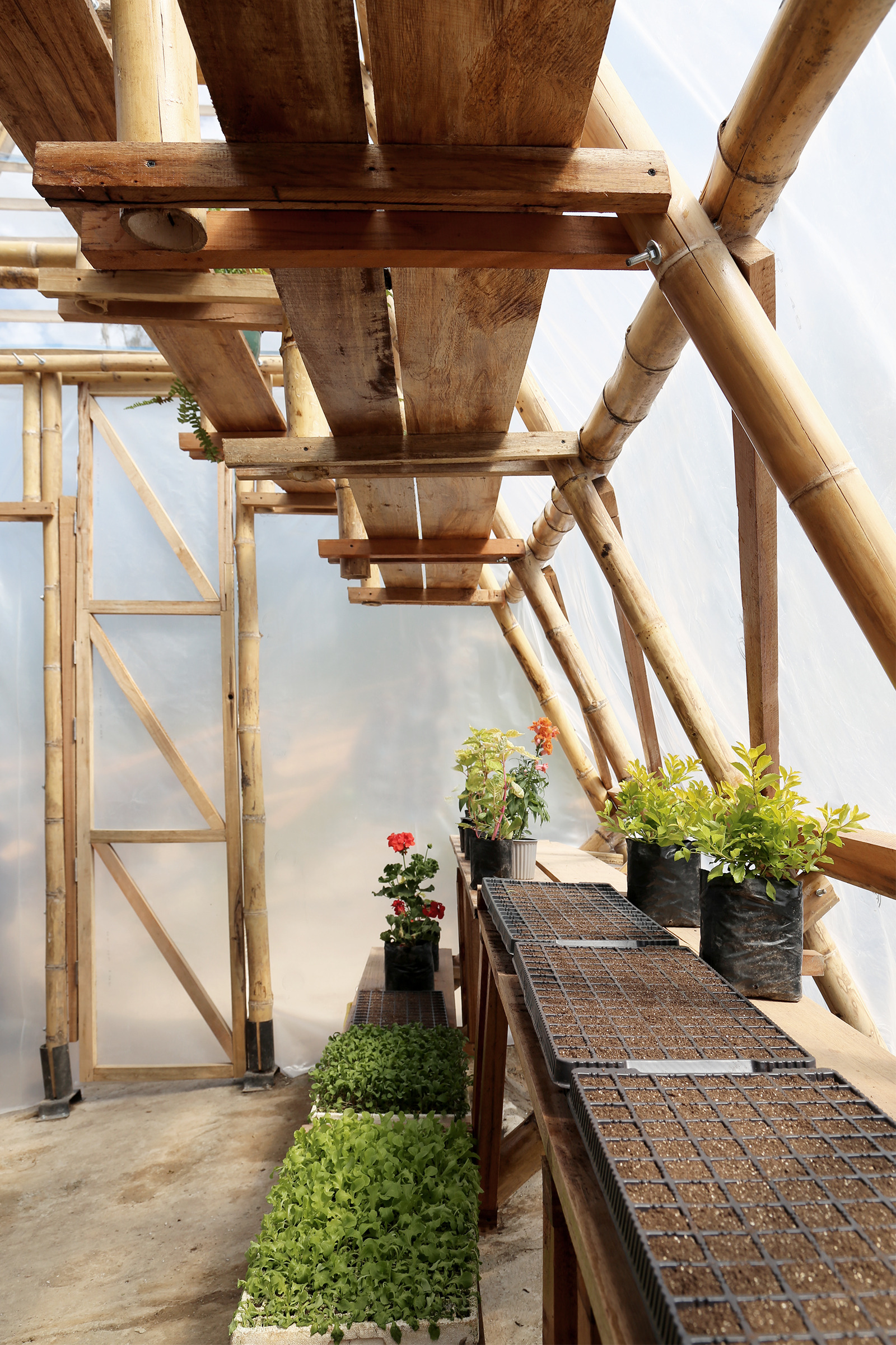 厄瓜多尔蔬菜三角温室 · 赋权社区绿色家园-8