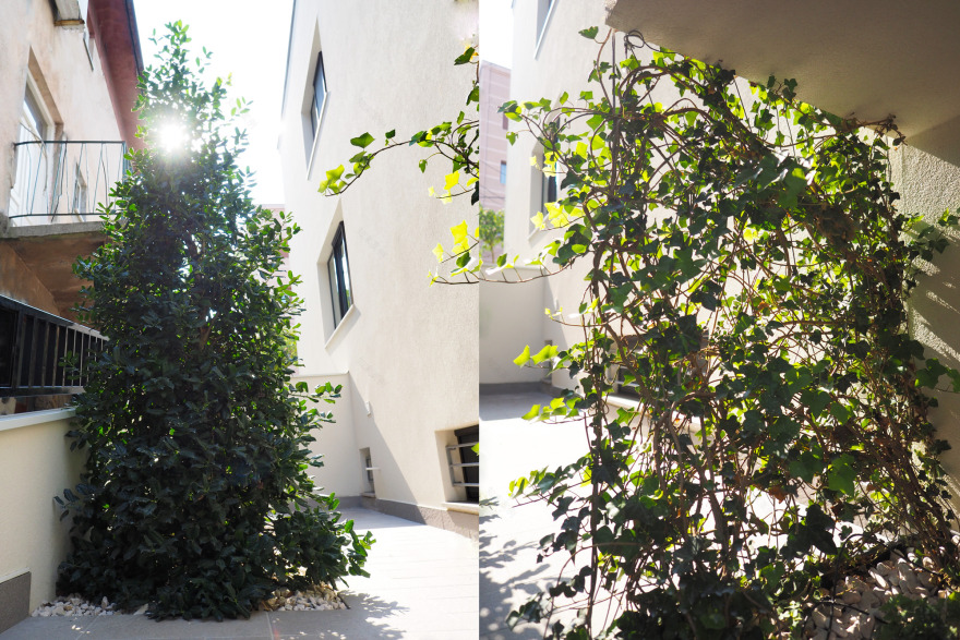 为所有感官而创造,私人住宅花园和屋顶露台-11