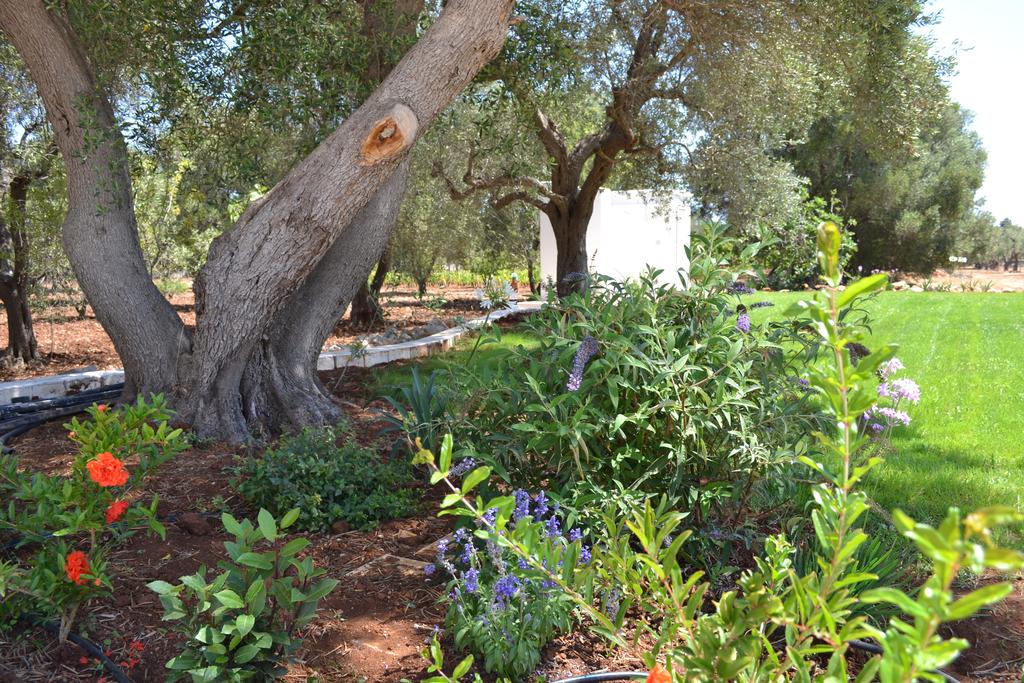 2017 年完成的 Casa Kàiros 乡村别墅室内设计-14