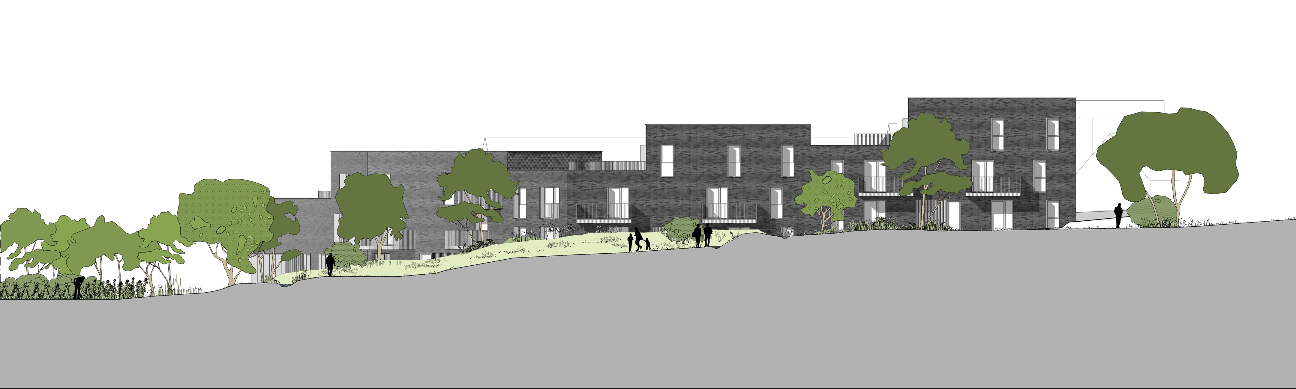 兼顾生态与人文的 Harenberg 住宅项目-5