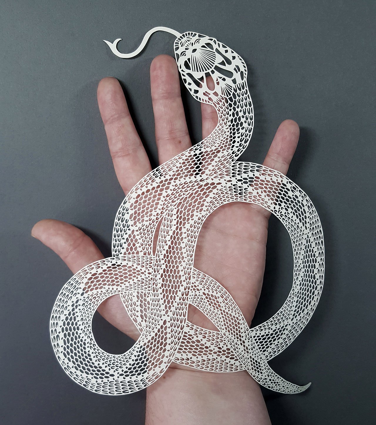 皮帕·迪尔拉加的剪纸艺术-26