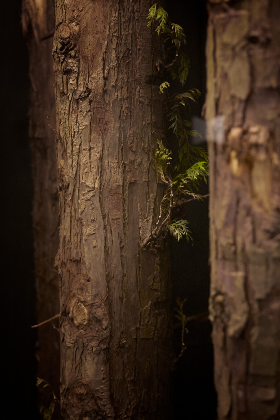 Creneau 品牌中心 | 电器共享空间的艺术化设计-11