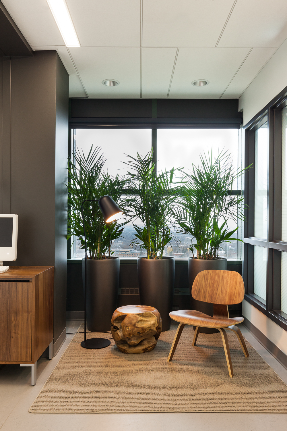 巴黎理工学院的咖啡厅-1