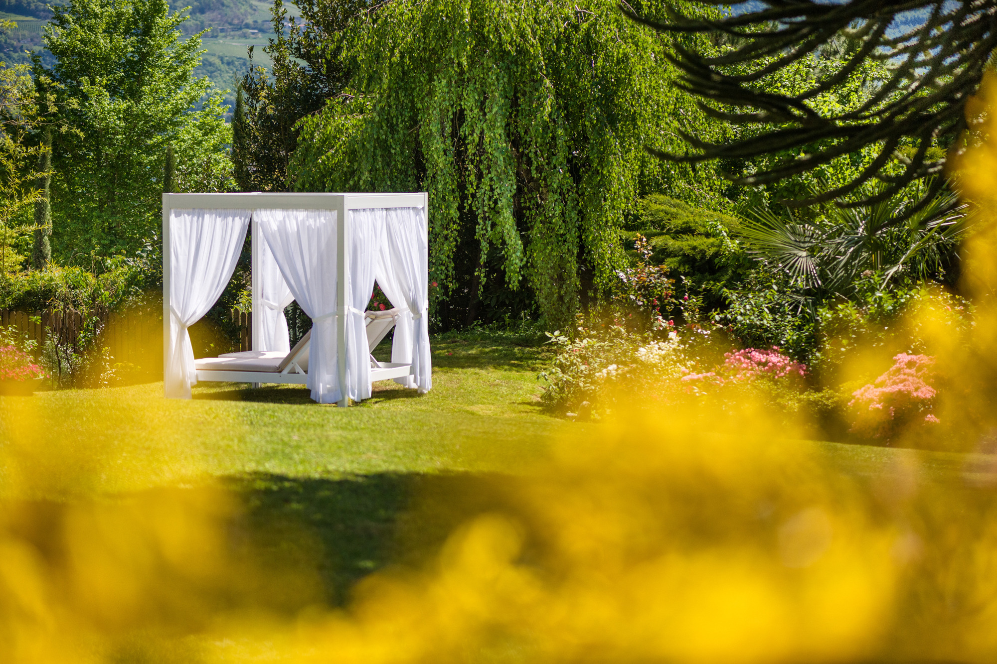 Fayn 酒店翻新 | 打造难忘的度假体验-17