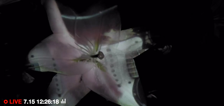 《花之颂》（Hana）-4