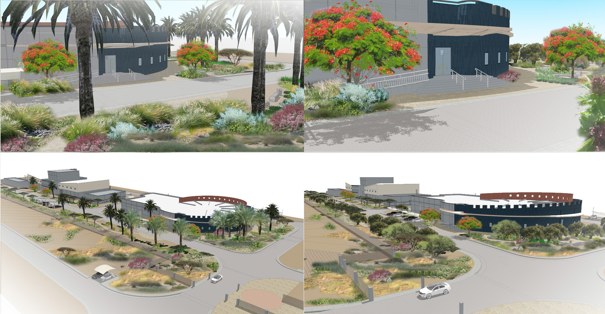 阿布扎比岛屿生态景观设计-17