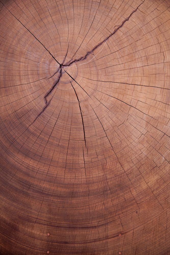 阿姆斯特丹冷压果汁店-35