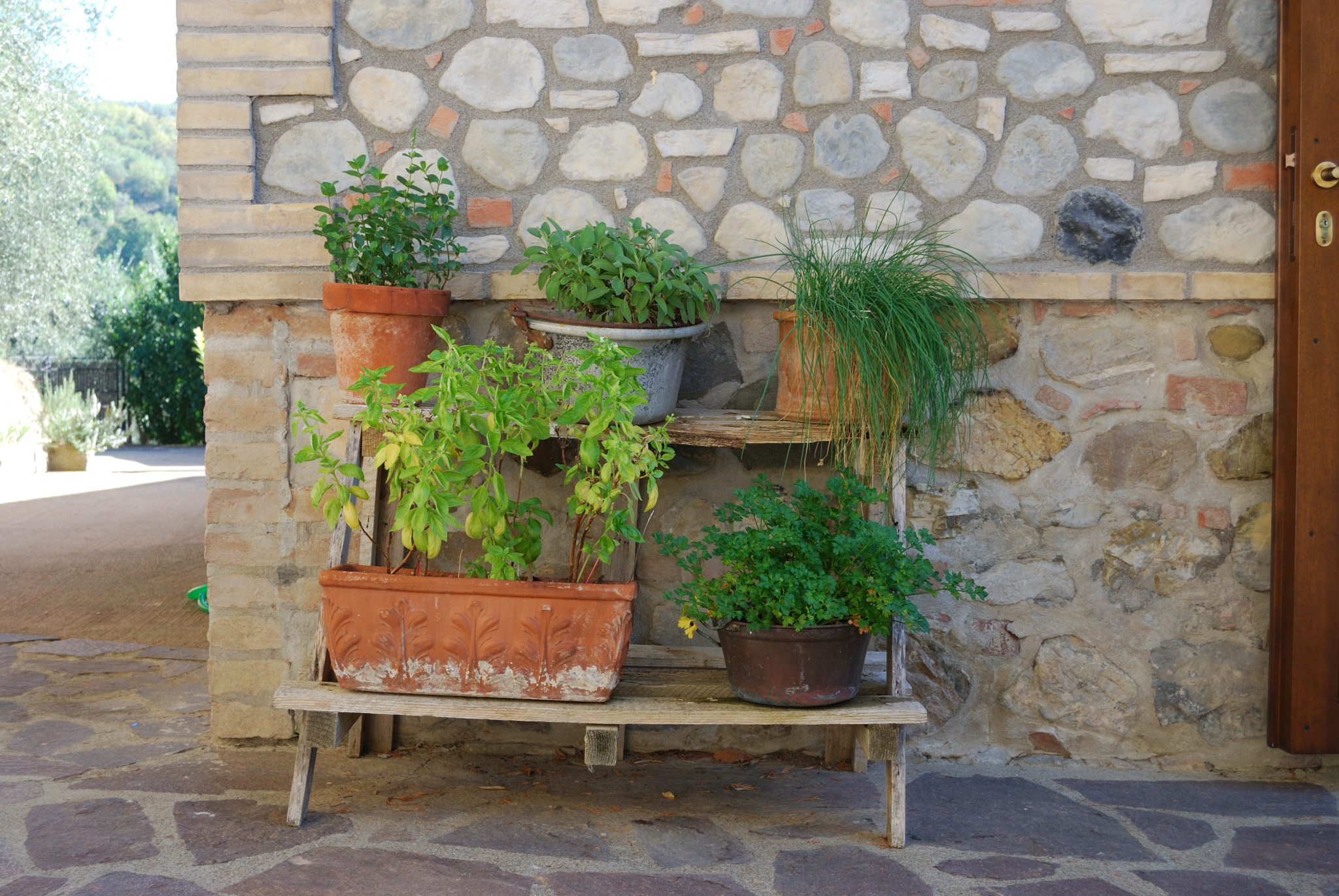 农舍转型住宅的全面翻新设计-11