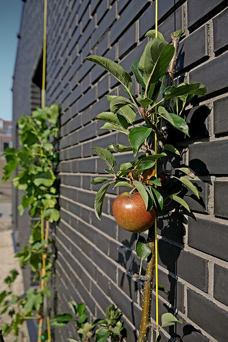 绿意盎然的家 | 垂直花园的室内设计-8