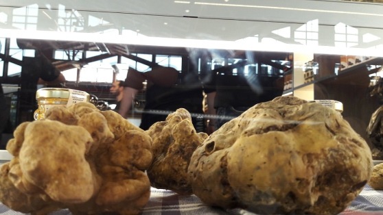 意大利 URBANI TARTUFI 餐厅-11