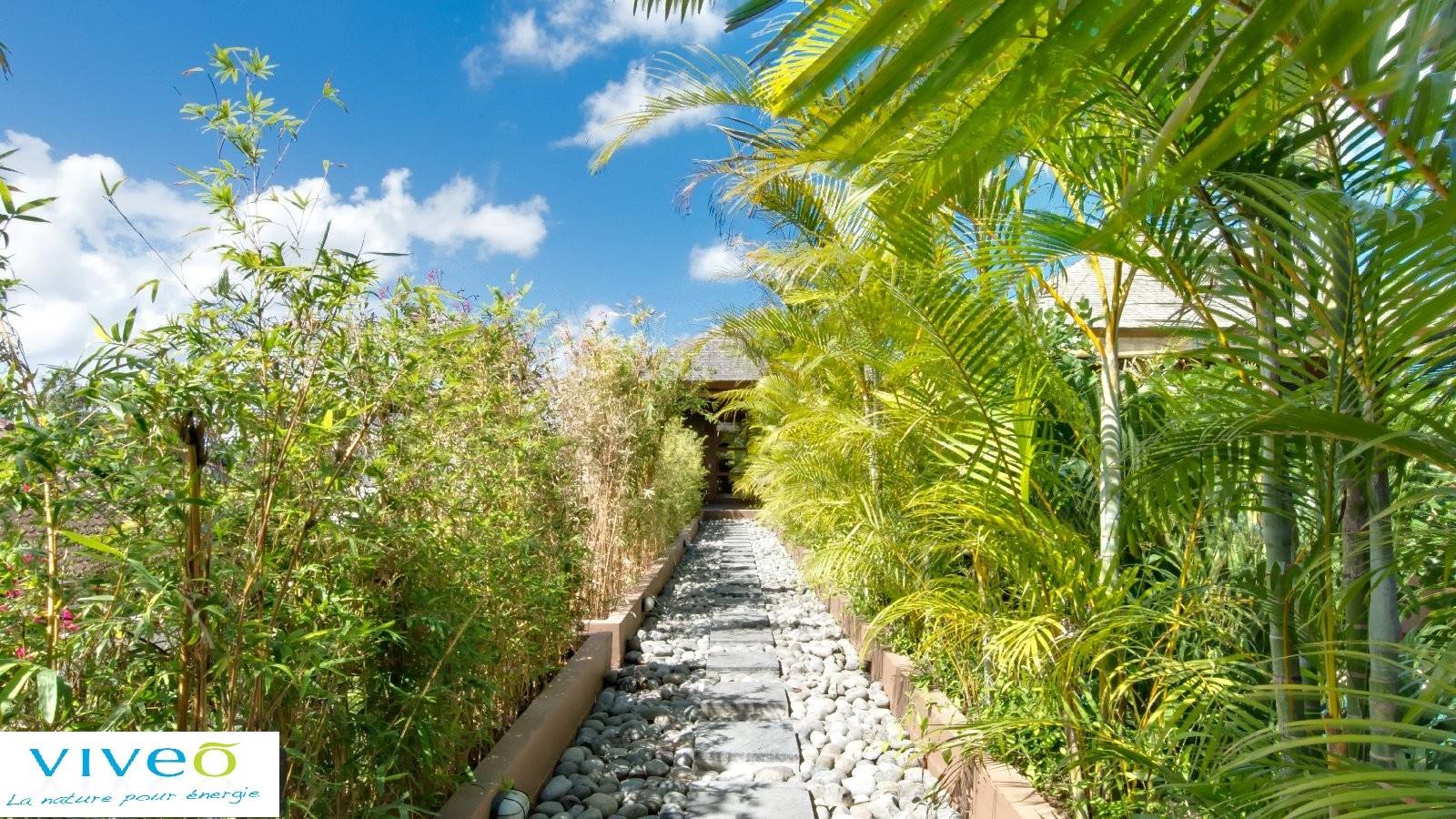 2015 年完成的 Villa Bambou Kinari 单家庭住宅室内设计案例-14