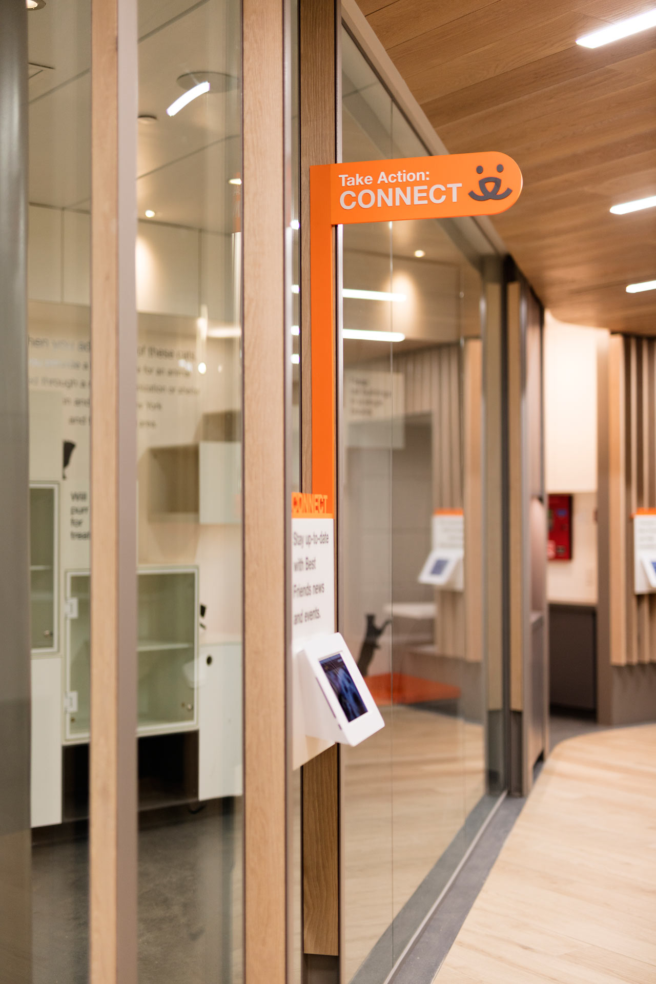 爱心港湾 | 最佳朋友动物协会新收养中心-8