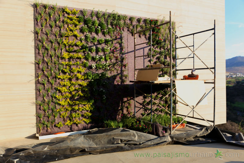 墨西哥绿意盎然的家庭住宅-9