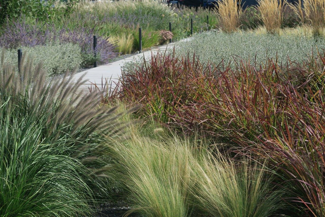 2017 年完成的 Scrigno Lab 项目——室内设计精品之作-22