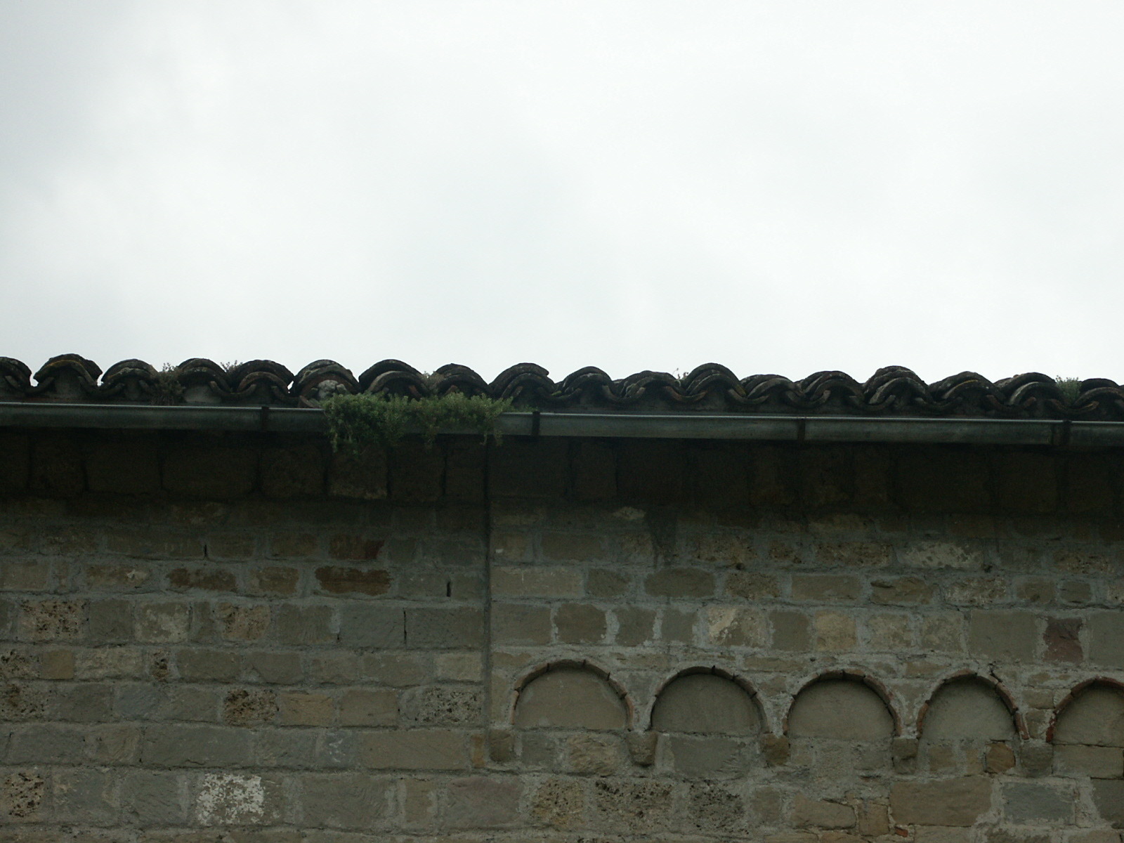 圣斯蒂芬大教堂的再生-17