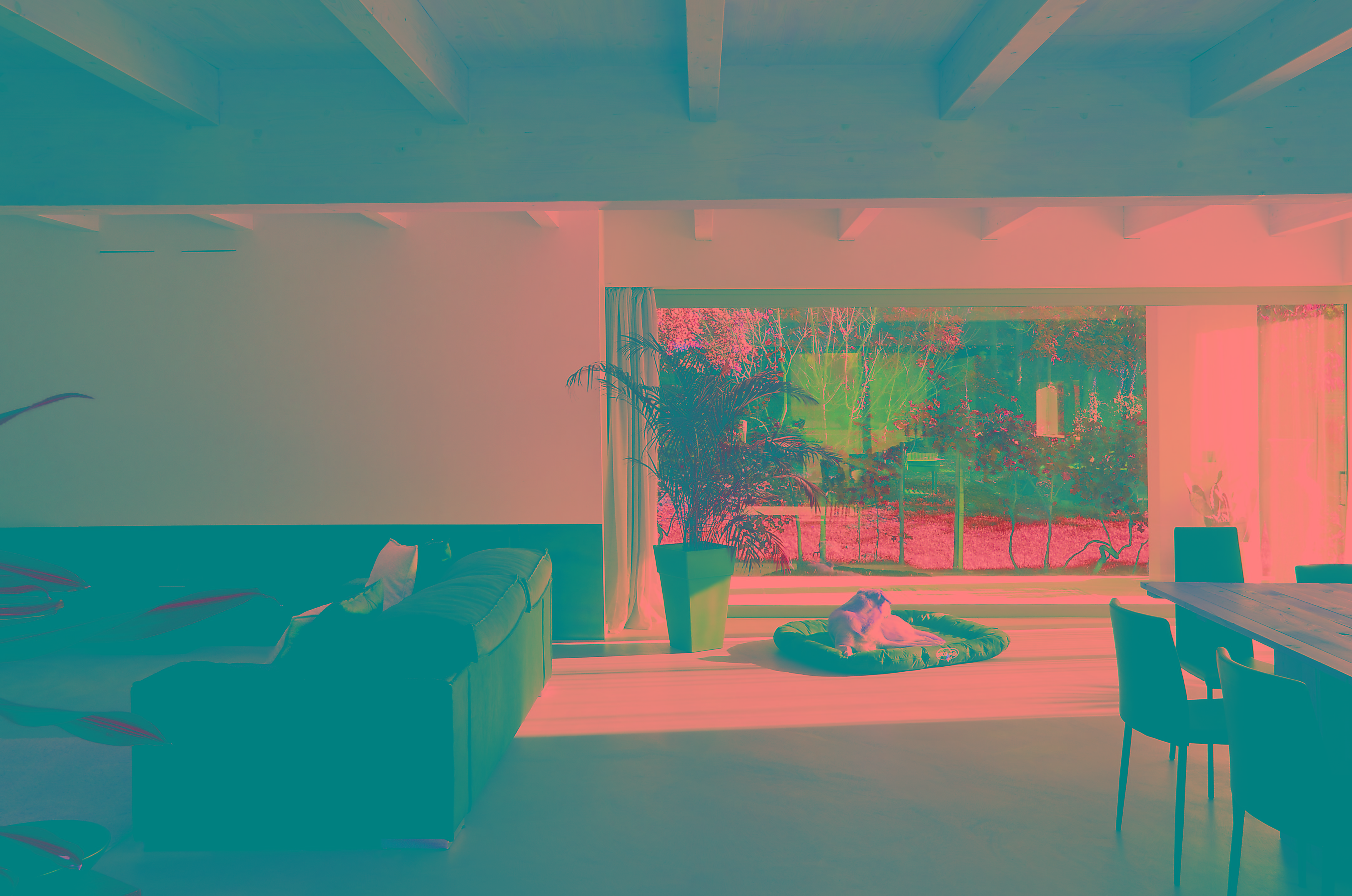 单层别墅,极简风格与自然元素融合-1