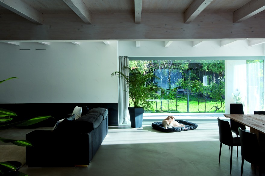 单层别墅,极简风格与自然元素融合-1