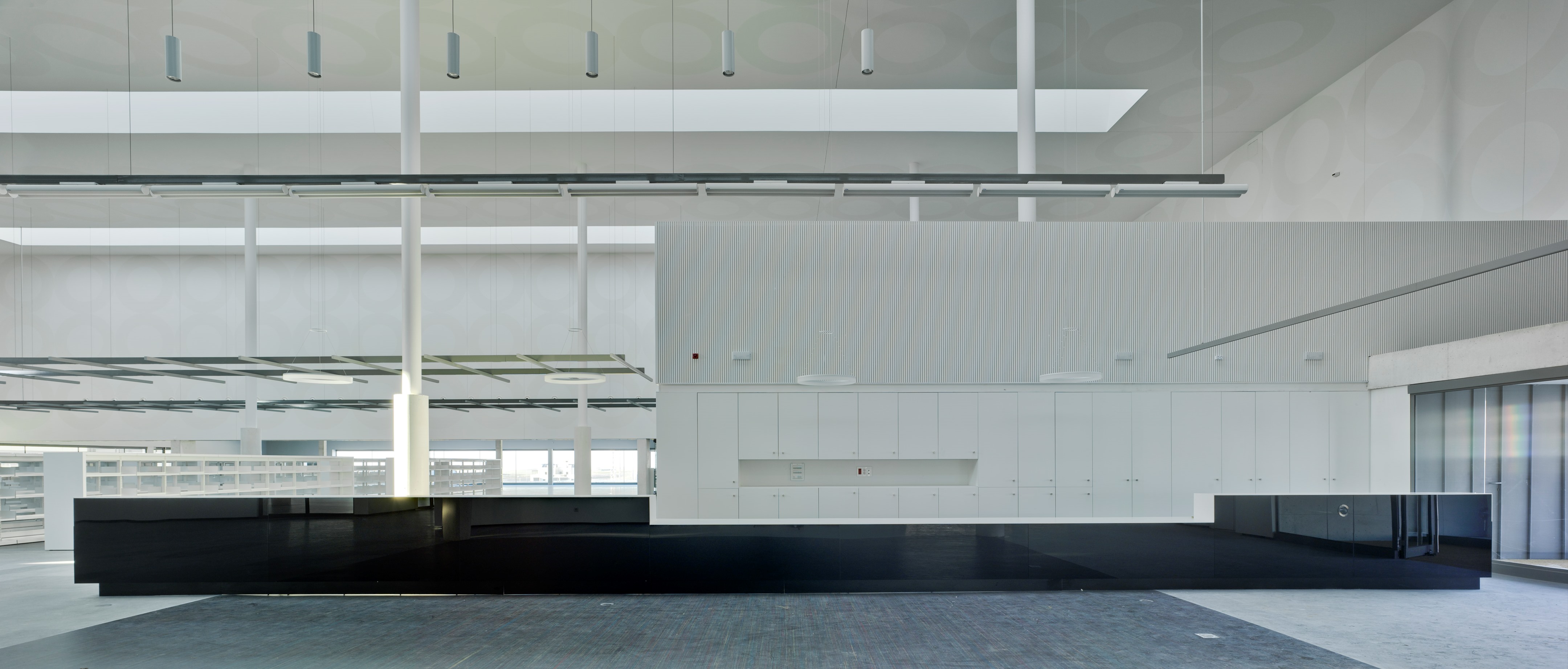 新塞哥维亚公共图书馆-29