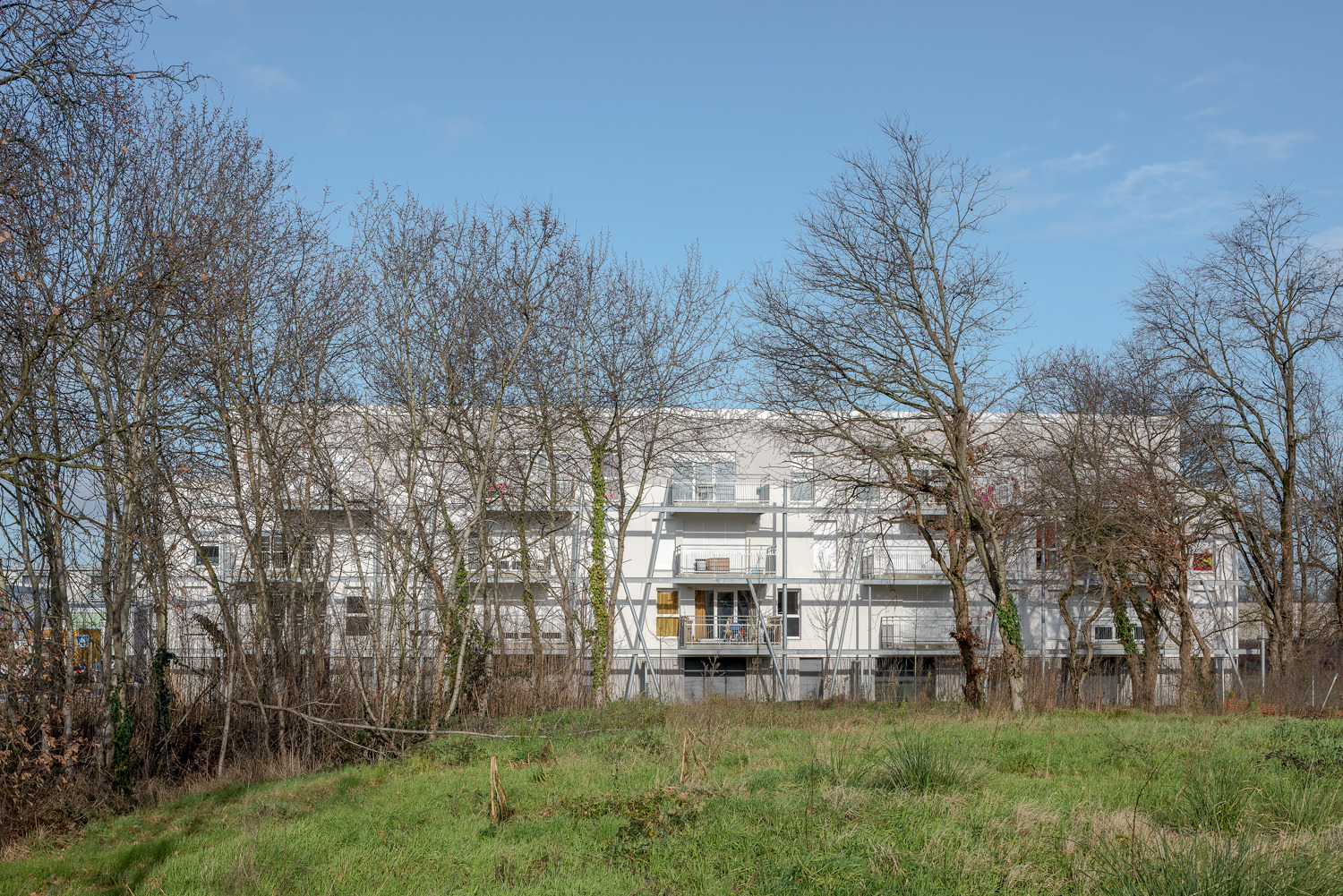 2018 年完工的 Les Erables 公寓设计展现独特魅力-14