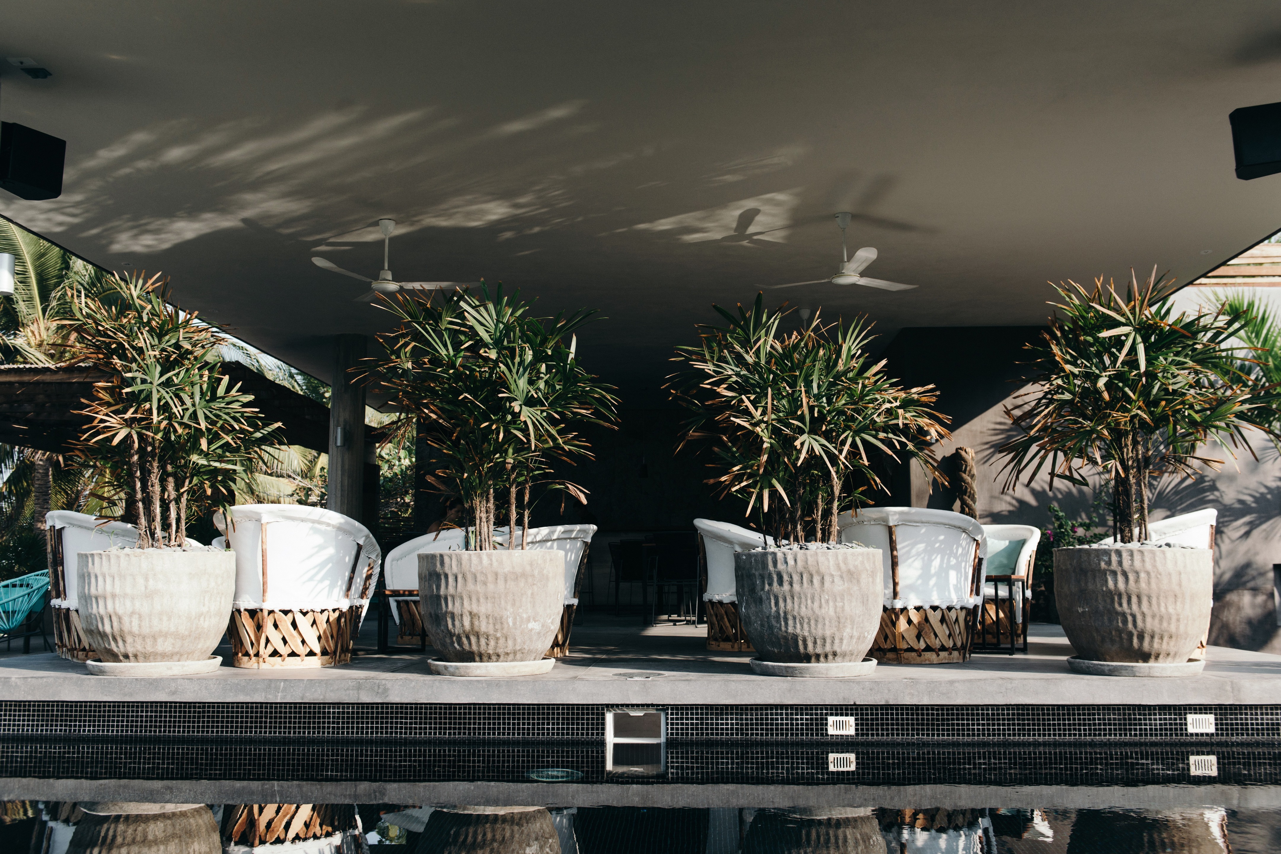 洛塞雷诺海滩之家（特龙科内斯，墨西哥）-1