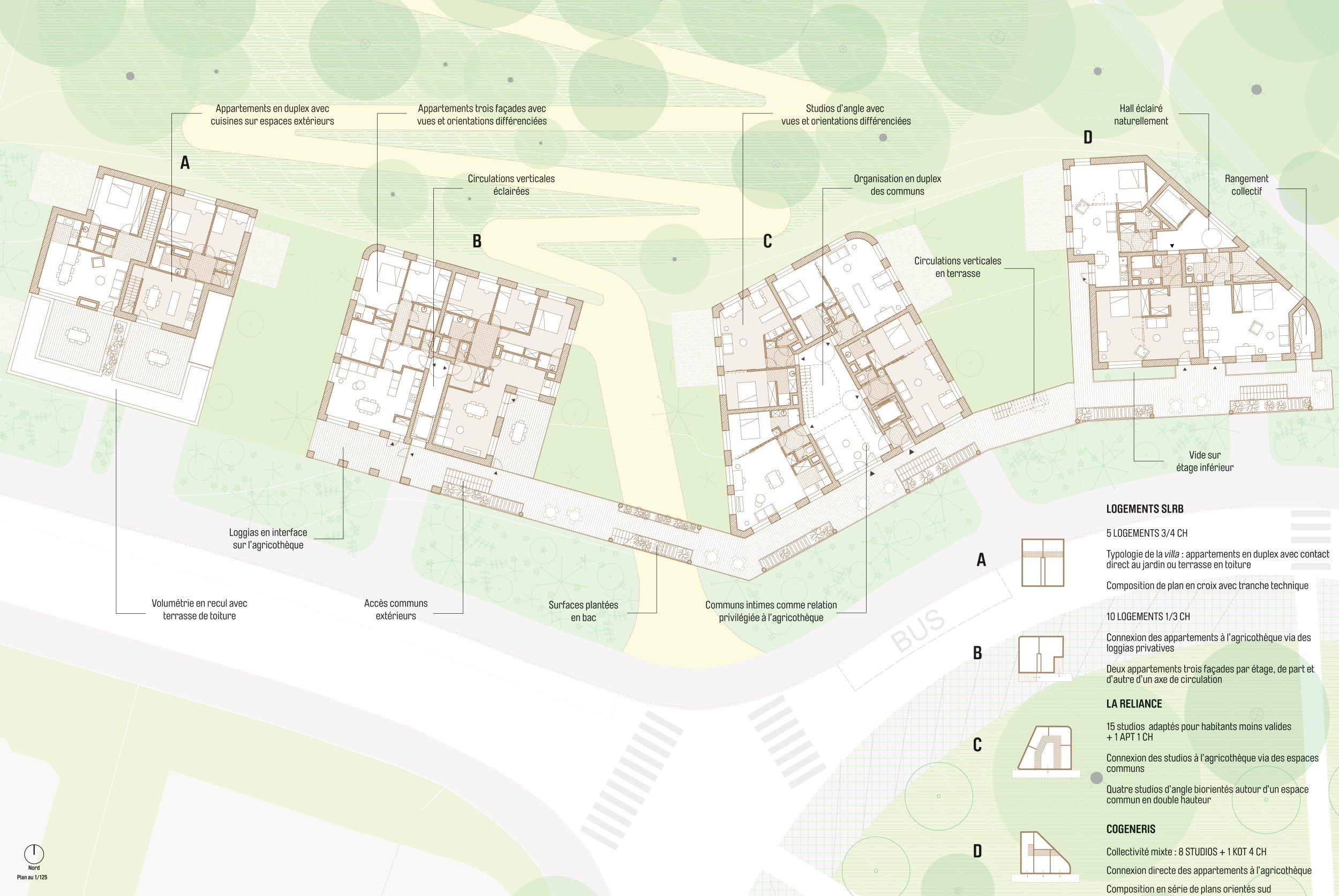 绿意盎然的 Archiducs 社区-6