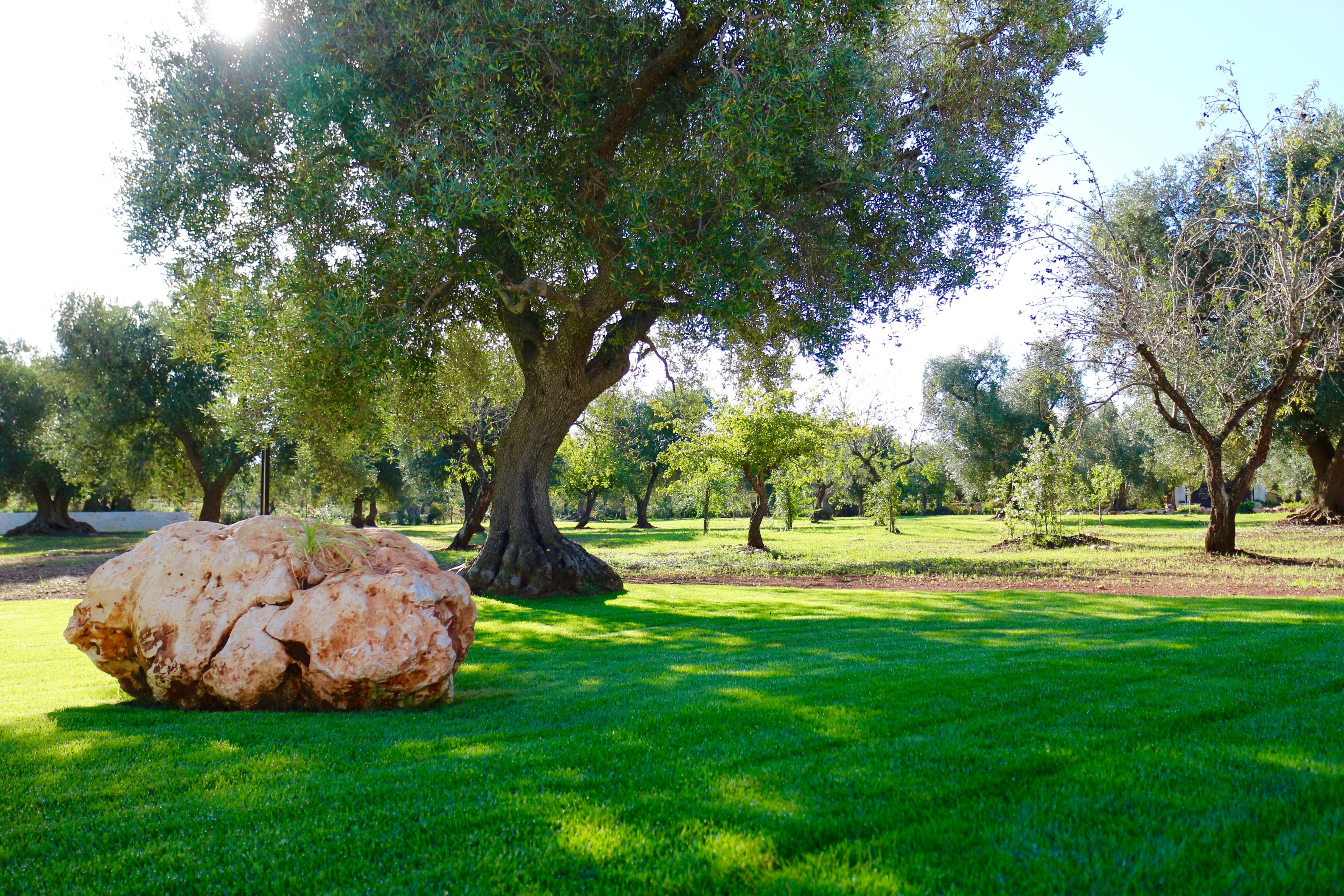 意大利乡村风格度假别墅设计-10