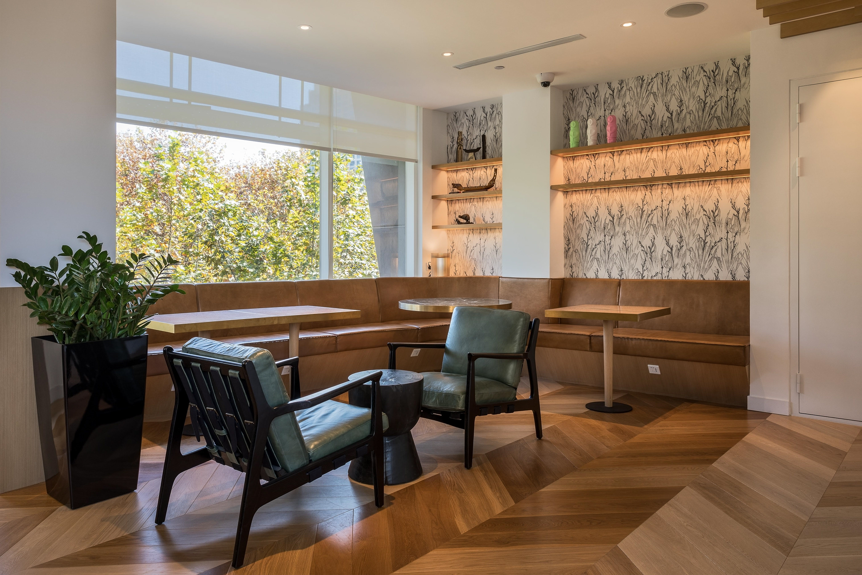 新西兰中心 [上海] - 自然元素与文化的完美融合-8