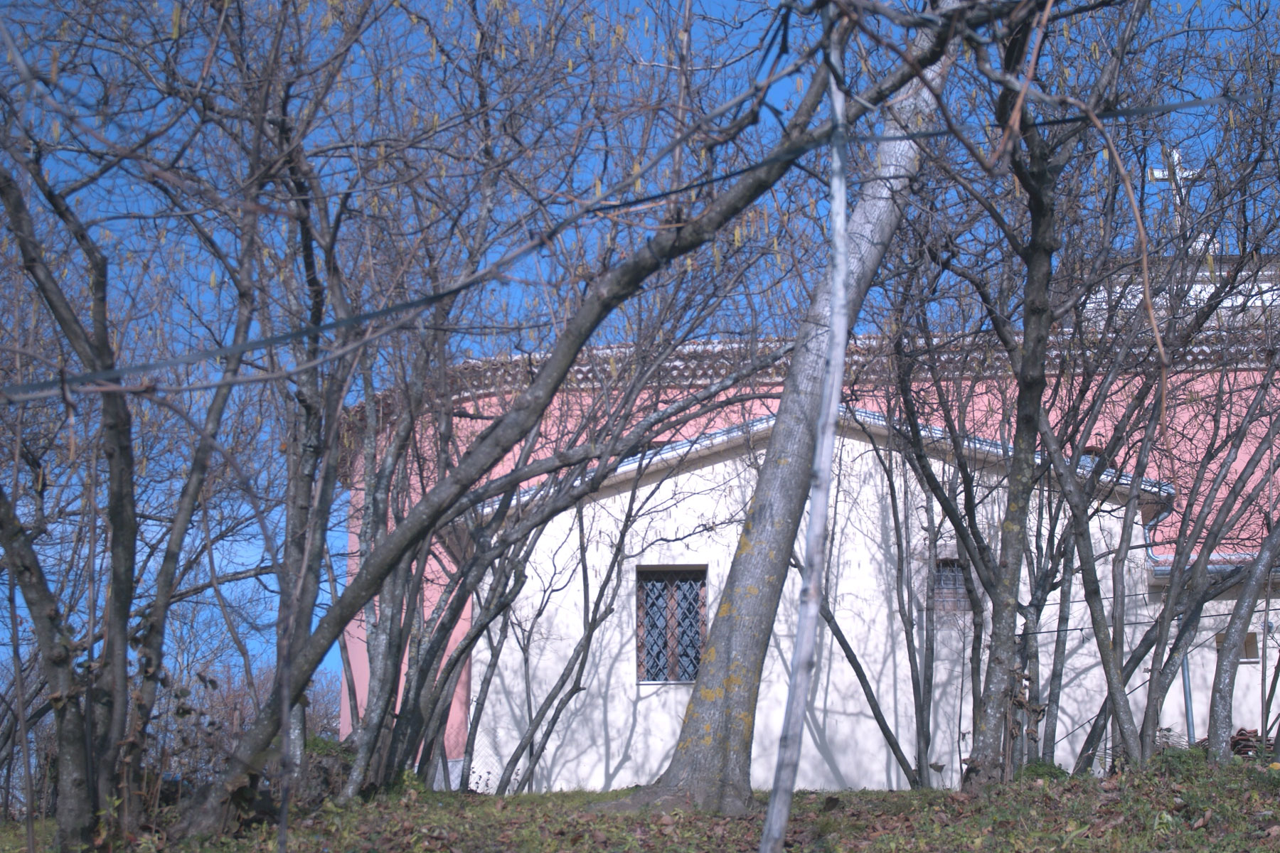 意大利乡村教堂的现代复兴-5