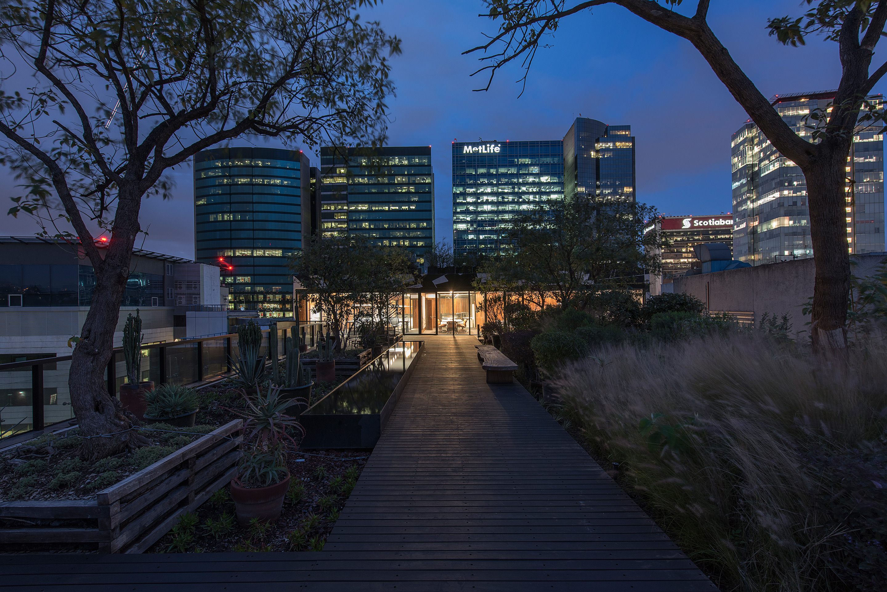 墨西哥城摩尔诺戈兹律师事务所办公室设计-17