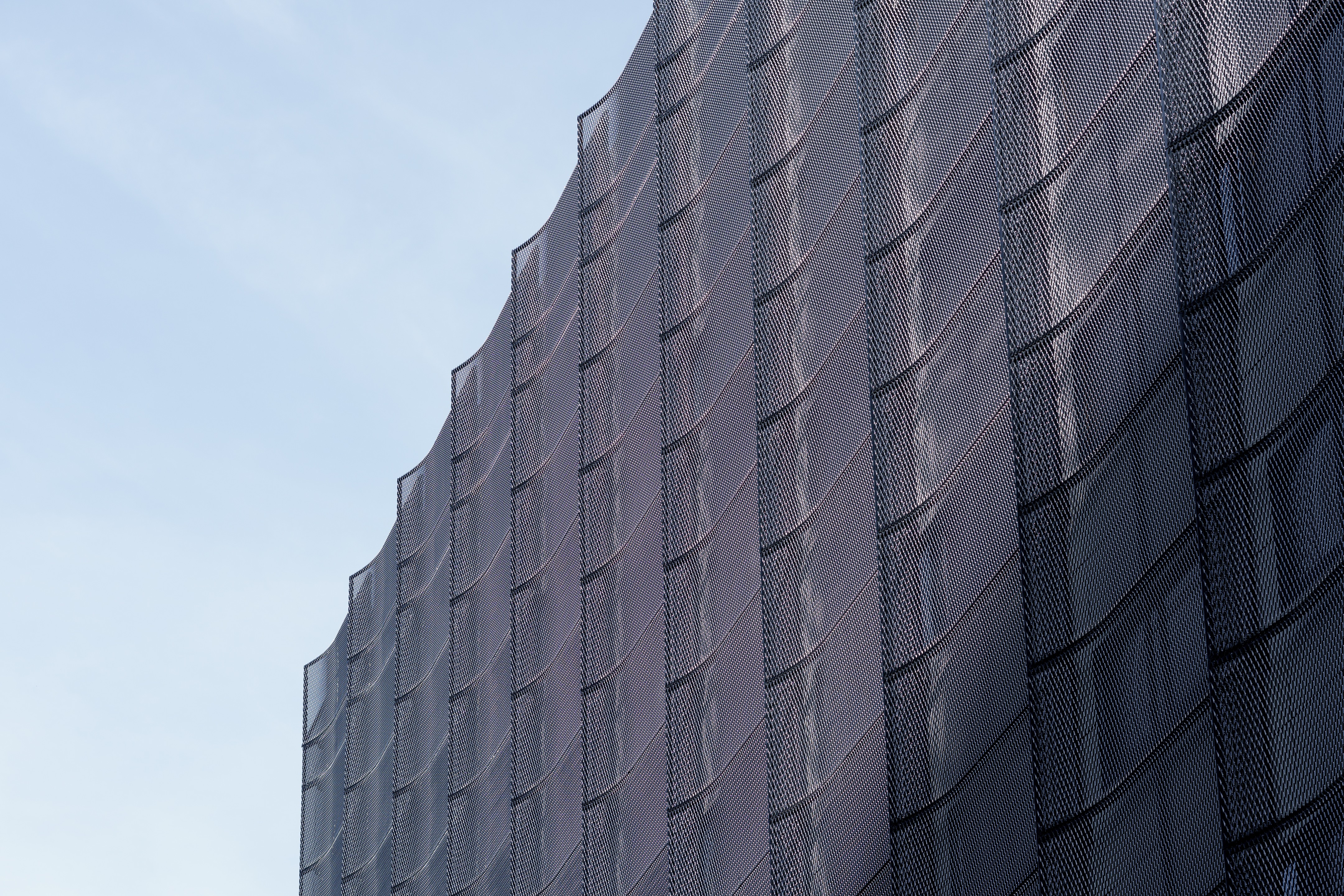 勒·布莱克珀尔或勒·黑珍珠-8