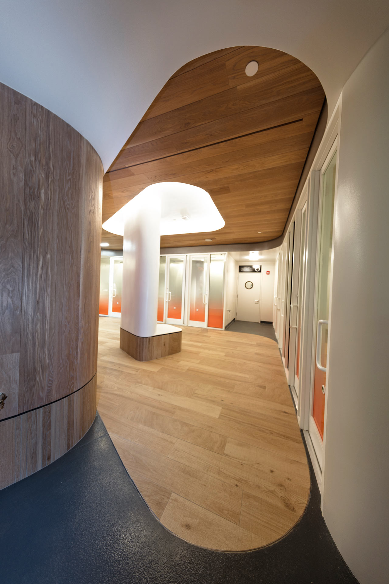 爱心港湾 | 最佳朋友动物协会新收养中心-22