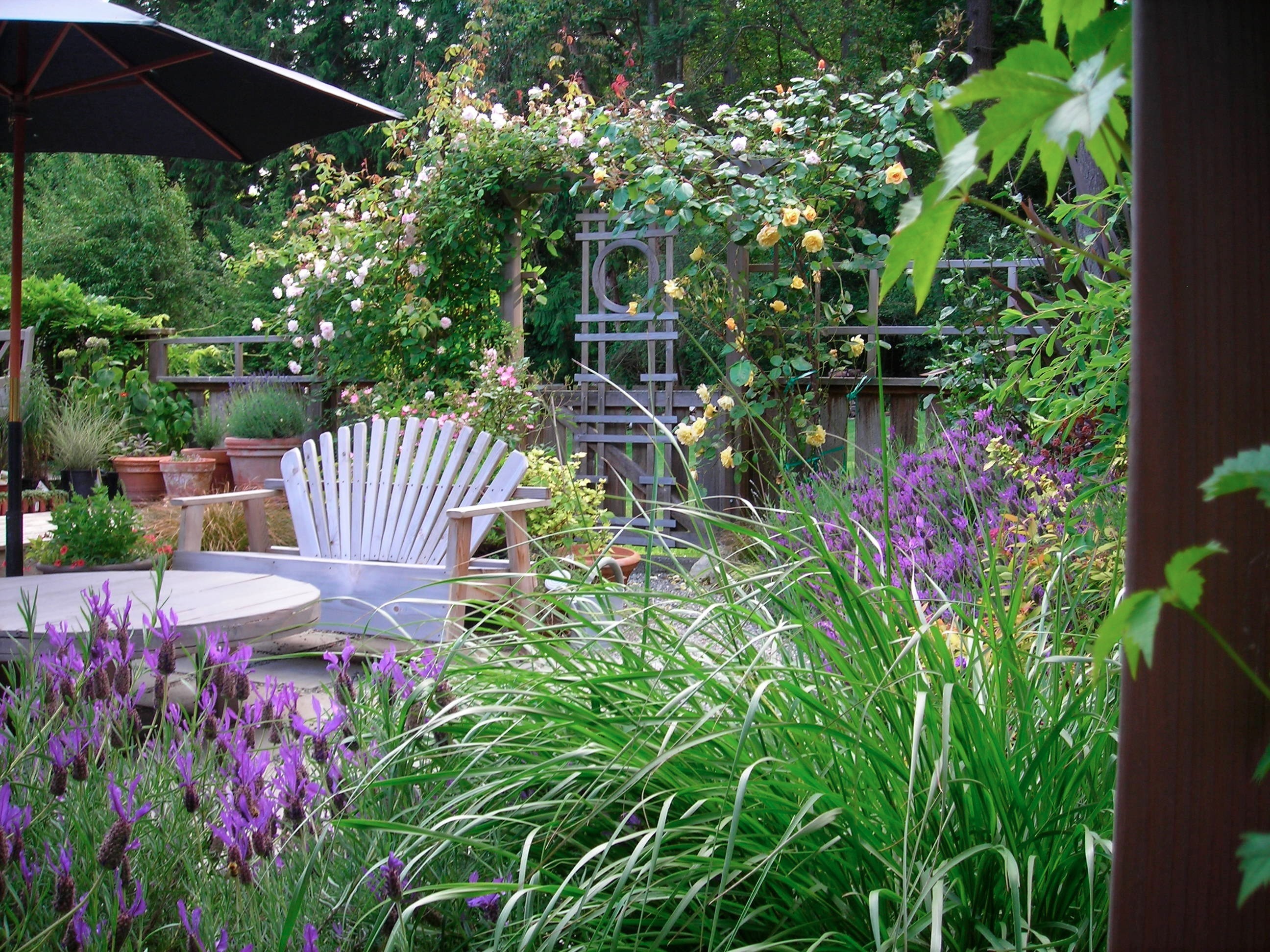 回归经典的岛屿美学——花园小屋-0