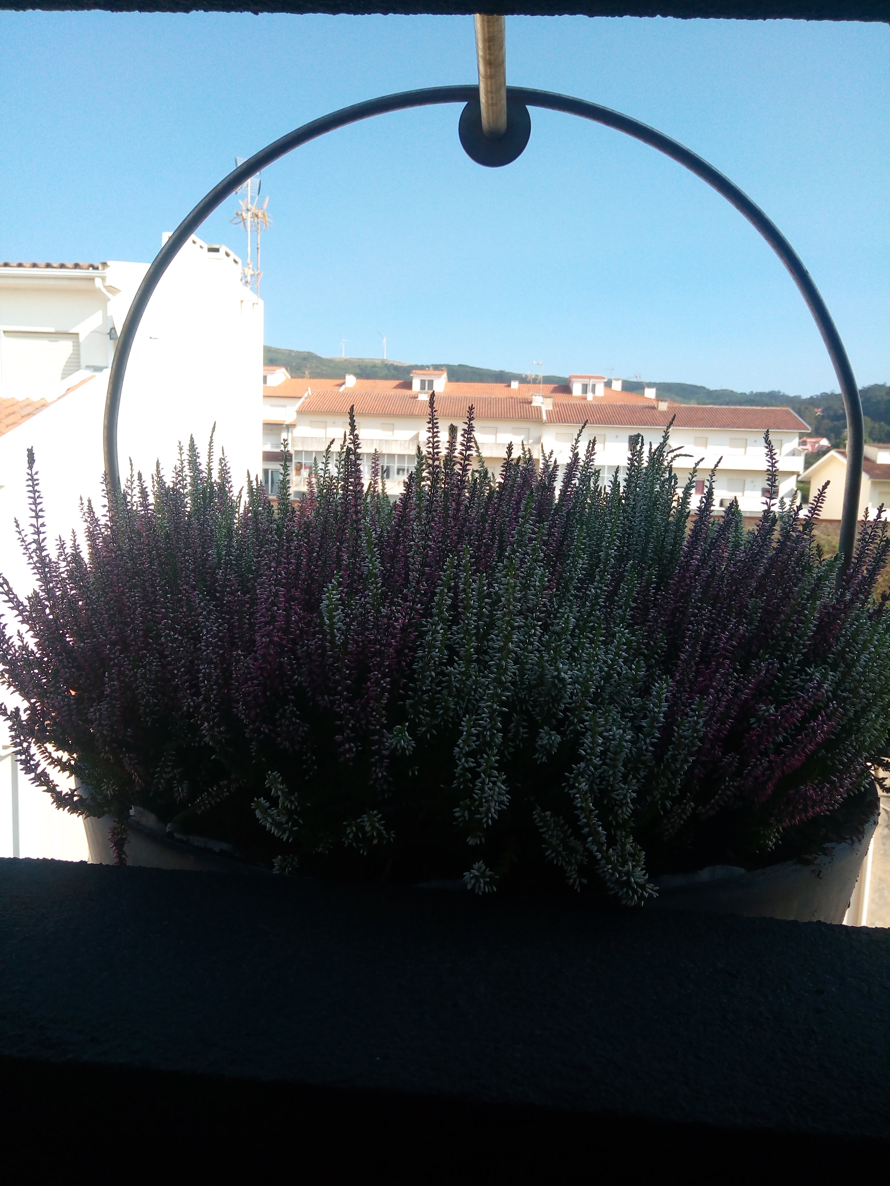 《海洋之窗》-12