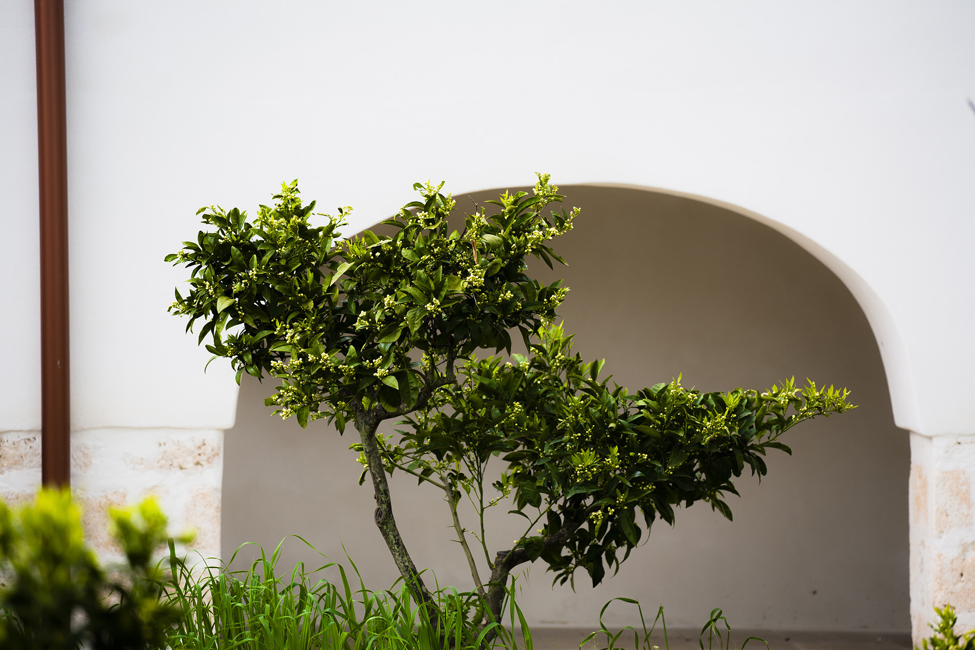 2016 年完工的 Villa Maria 历史建筑修复与室内设计案例-22