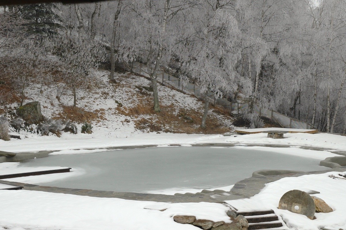 自然泳池边的生态住宅-2